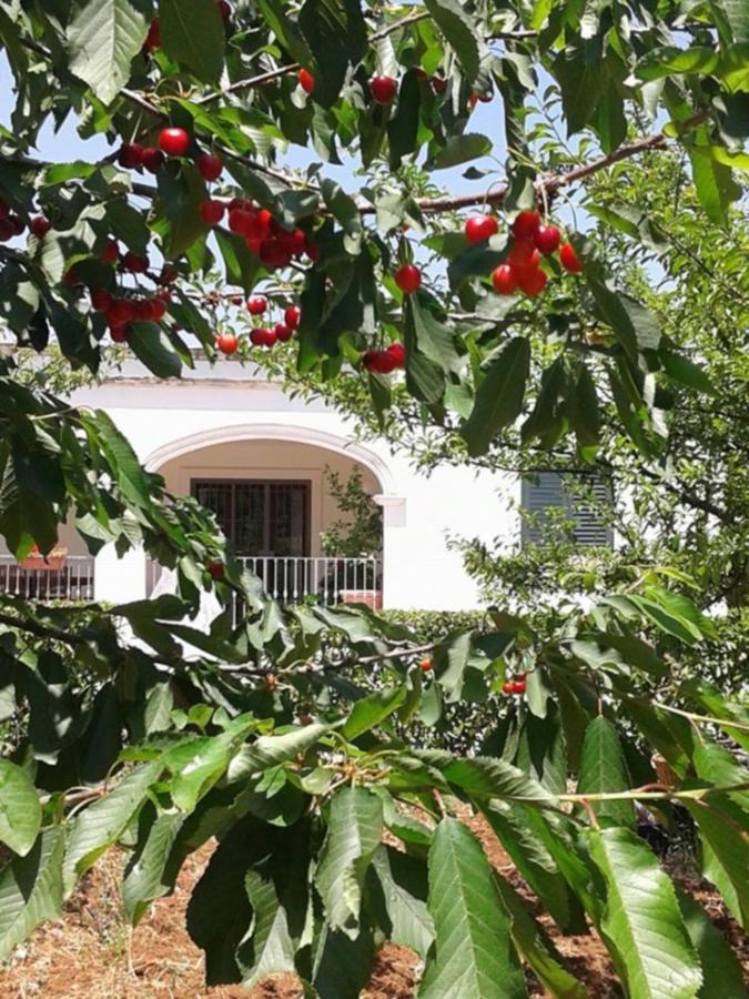 La Volpina Panzió Martina Franca Kültér fotó